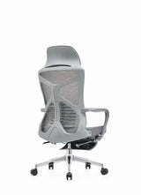 SleekPro Ergonomic Desk Chair