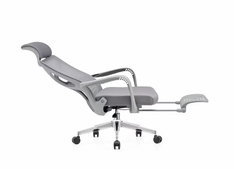 SleekPro Ergonomic Desk Chair