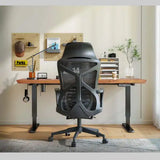 SleekPro Ergonomic Desk Chair